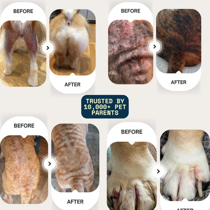 CalmPaw - Vet formulated Skin Spray