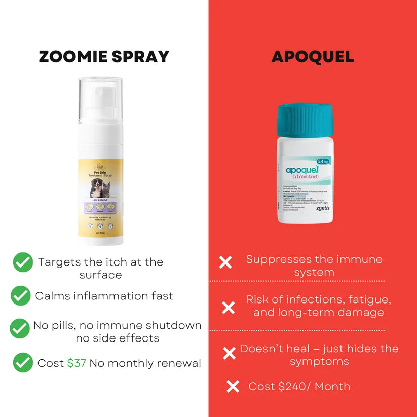 CalmPaw - Vet formulated Skin Spray (Copy)