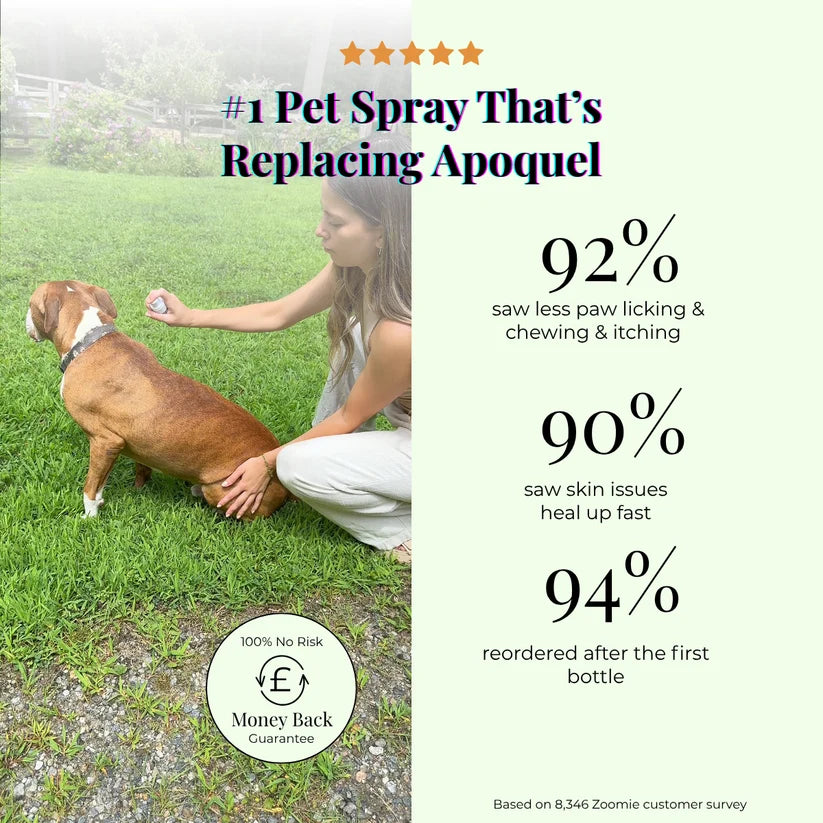 CalmPaw - Vet formulated Skin Spray