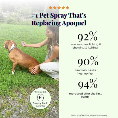 CalmPaw - Vet formulated Skin Spray