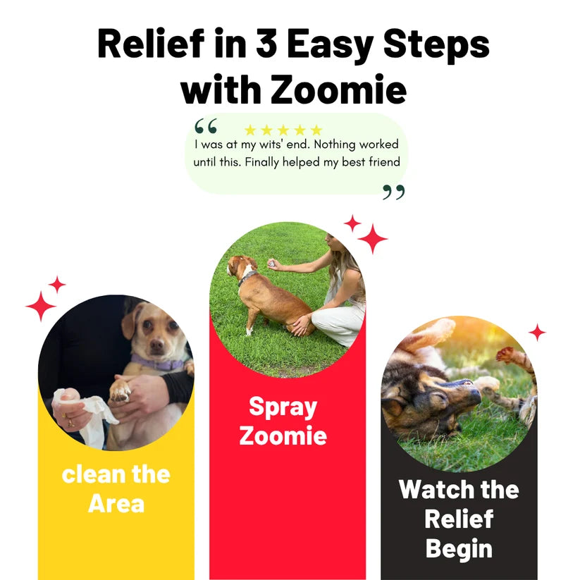 CalmPaw - Vet formulated Skin Spray (Copy)