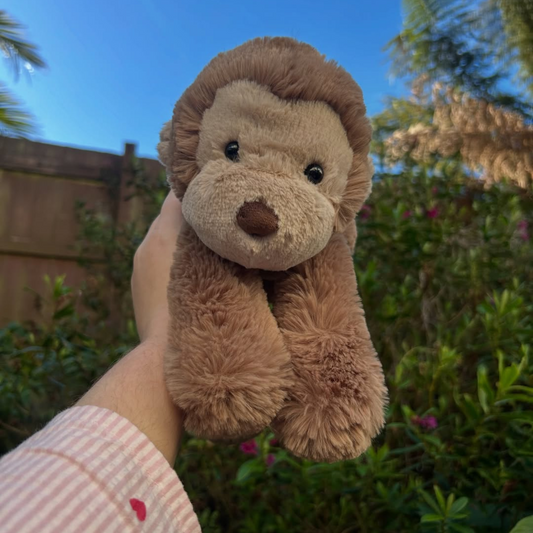 Hugsy The Smudge Monkey (75% OFF TODAY)