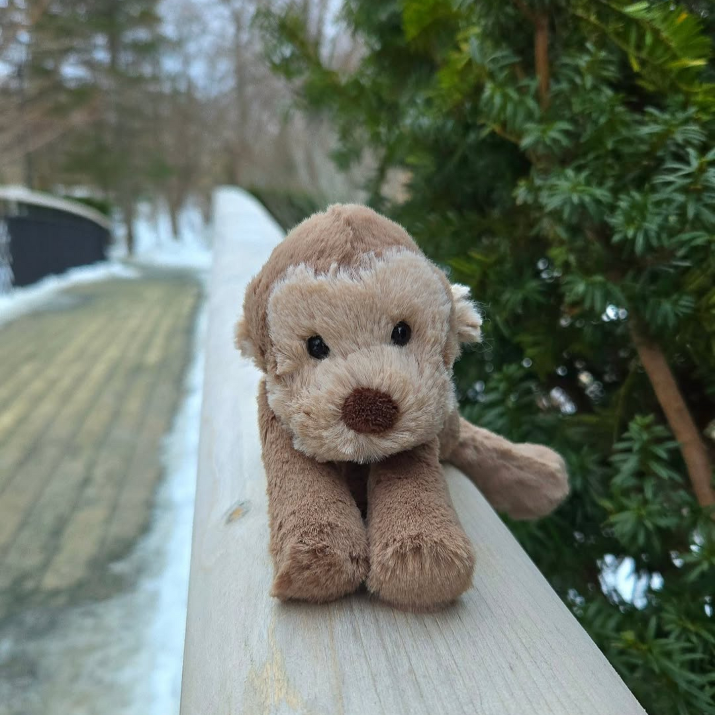 Hugsy The Smudge Monkey (75% OFF TODAY)